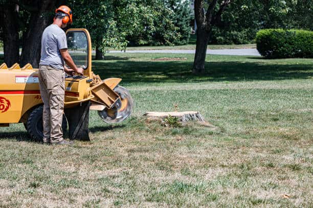 Lot clearing service